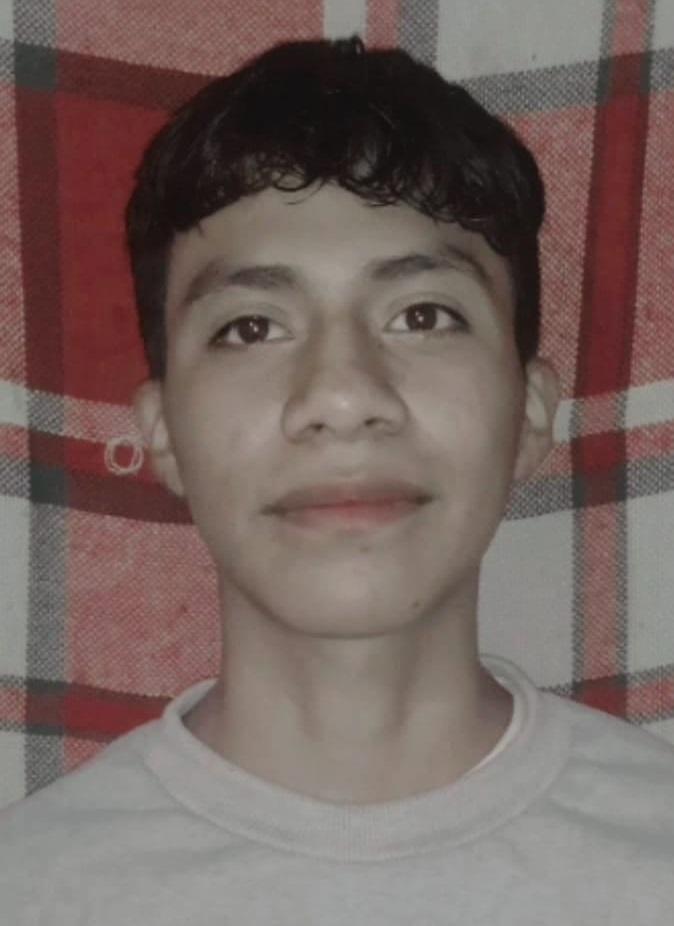 User Image